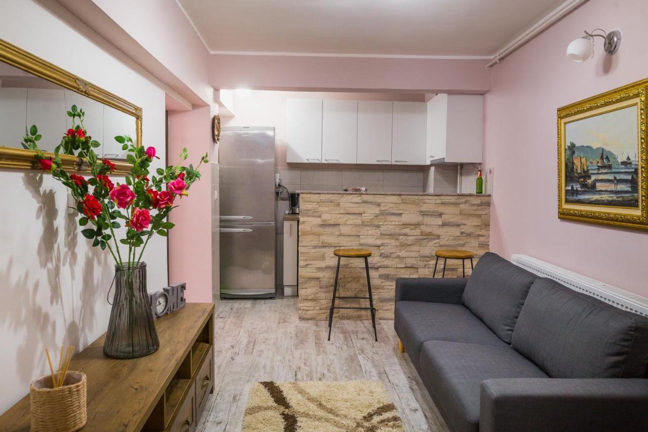 Appartement Alpin Central Studio à Braşov Extérieur photo