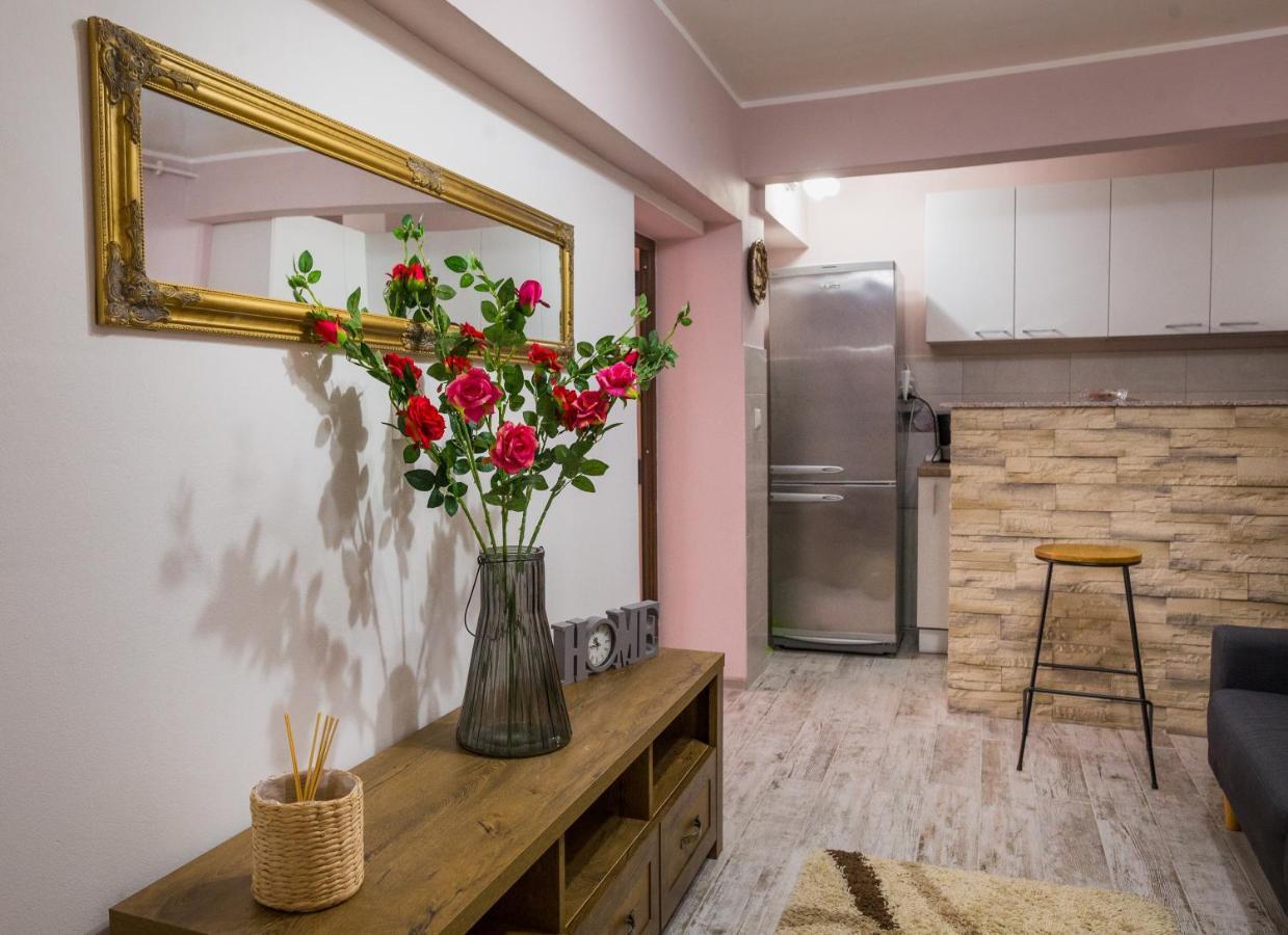 Appartement Alpin Central Studio à Braşov Extérieur photo